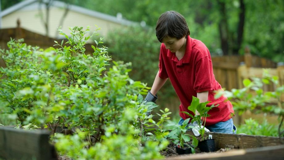 Teenager gardening. Photo by CDC on Unsplash