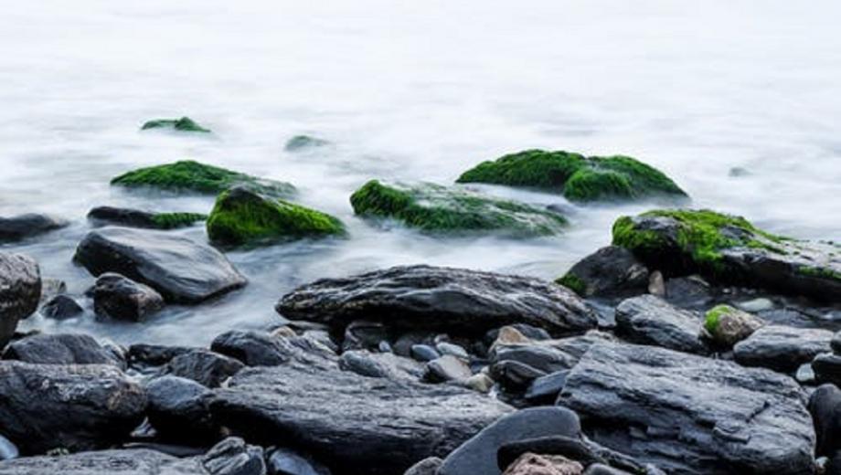 rocky beach photo