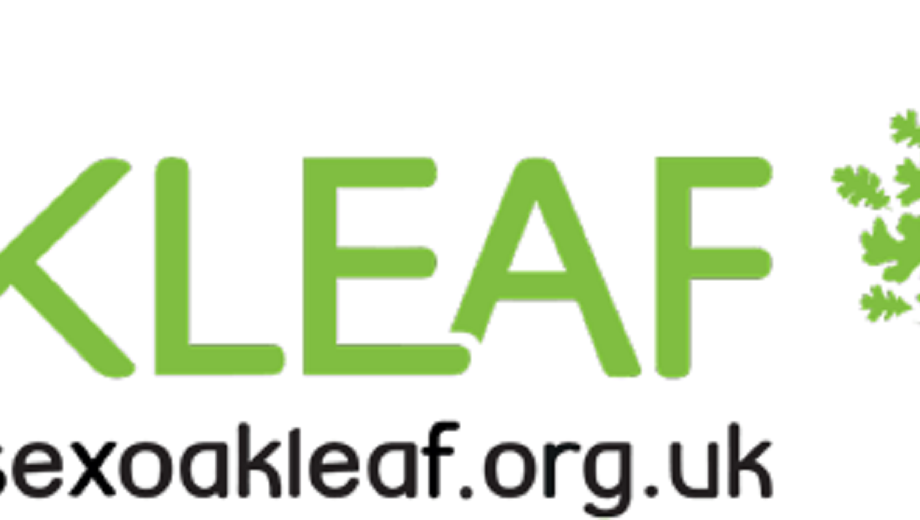 Sussex Oakleaf logo